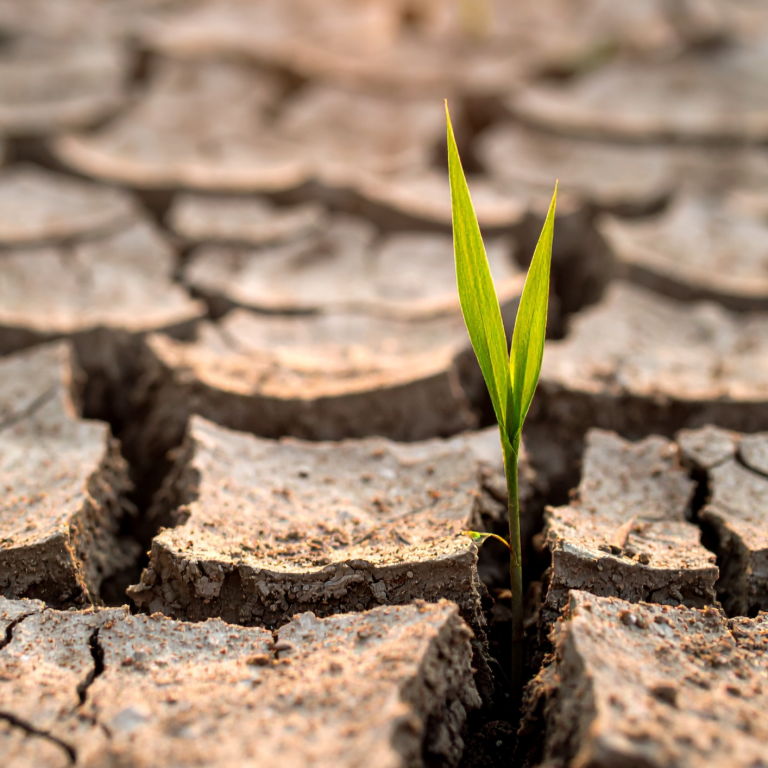 Psychotherapie Praxis Klagenfurt